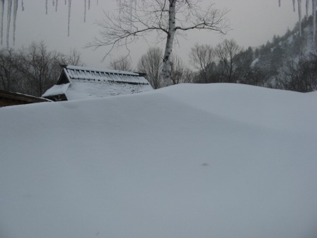 花木の宿 - 檜枝岐村その他（旅館・民宿）の写真