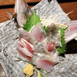 Saga horse mackerel shape