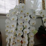 三和 中華ソバ店 - 