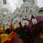 三和 中華ソバ店 - 