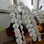 三和 中華ソバ店 - 