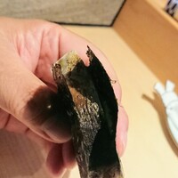 鮨 浩也 - 鯖の棒寿司