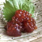 朱鯱 - 新もの”すじこの味噌漬”