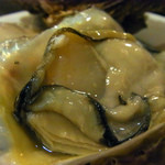 ミトラタカセ - 