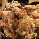 Karaage Hitosuji - 大きな唐揚げ！！