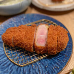 Tonkatsu Ekkusu - 