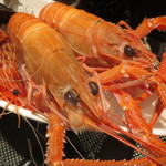 レストラン バカール - 迫力の食材1　海老とアワビ