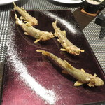 レストラン バカール - 清流の稚鮎