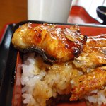 うなぎ かわかみ - 下半身だってこの厚みだぜ　どうだワイルドだろう？