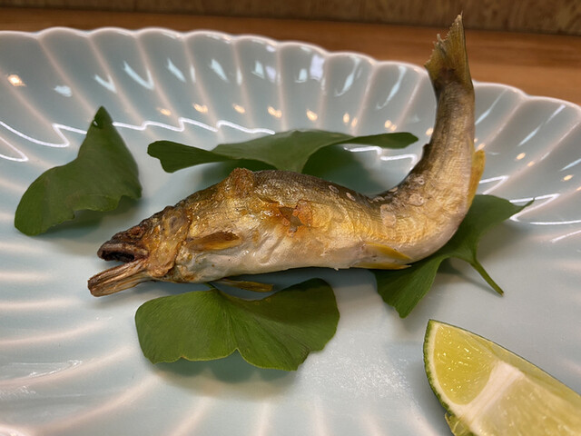 つきじ - 白河（日本料理）の写真