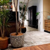TRUNK(KITCHEN) - 