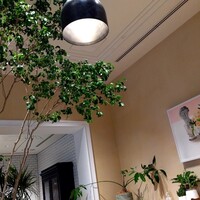 TRUNK(KITCHEN) - 