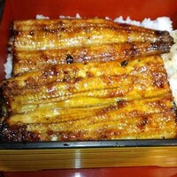 菊屋 - 上うな重