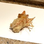 日本橋 蕎ノ字 - 頭 1