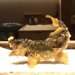 日本橋 蕎ノ字 - 若あゆ