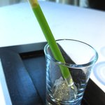 オーベルジュ・ド・リル サッポロ - グリーンピースのピューレをストローに閉じ込めてある