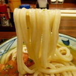 Marugame Seimen - 麺持ち上げ