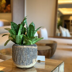 ふふ 河口湖 - お部屋