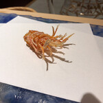 にい留 - まずは車海老の足！
      これは外せない！