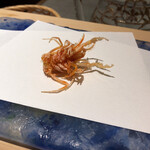 にい留 - 更に車海老の足！