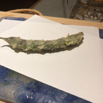 にい留 - 秋縞ささげ
      中の豆が旨い！