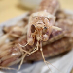 岩男寿司 - シャコ正面から