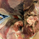 味乃しゅうか - 頭の中