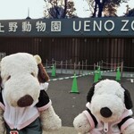 上野精養軒 本店レストラン - つぬっこ＆ちびつぬだよ！ボキらは11月初めに1泊2日の東京旅行にやってきました。目的はもちろん上野動物園のジャイアントパンダ・シャンシャン一家だよ。ちびつぬ「シャンちゃんに会いに来たの～」