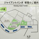 上野精養軒 本店レストラン - 上野動物園の発表で、もうすぐ子パンダ・シャンシャンがお母さんから離れてひとり立ちをするの。最後にお母さんと一緒にいるところを見ておきたくて、急遽決まった旅行です。ちびつぬ「もうすぐお母さんと別々になっちゃうのね、、、」