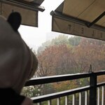 上野精養軒 本店レストラン - 雨足がだんだん強くなってきたけど、雨のおかげでテラス席がすいててラッキーだったね。ちびつぬ「テラス席は上野の森と不忍池が見える～」