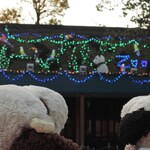 上野精養軒 本店レストラン - 帰りしなに動物園表門(東園の入口)を振り返って見るとこんなイルミネーションが。