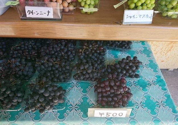 みとろ観光果樹園 厄神 その他 食べログ みとろ観光果樹園 厄神 その他 食べログ