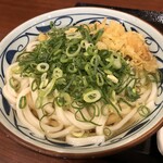 Marugame Seimen - 