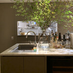 マンサルヴァ - 