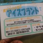 八紘学園 農産物直売所 - 【2012年06月】アイスプラント＠120円。　発見♪