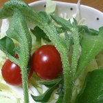 八紘学園 農産物直売所 - 【2012年06月】アイスプラントサラダのアップ。