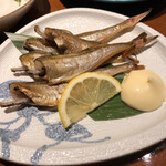 にいがた方舟 新潟駅COCOLO南館店 - 