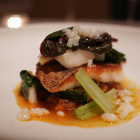 オオハラ エ シーアイイー - 