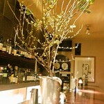 ウイスキーキャット - 