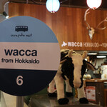 Wacca from Hokkaido - 