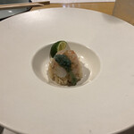 味乃しゅうか - 海老のお寿司
