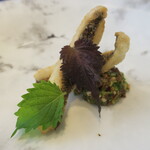 プレゼンテ スギ - 