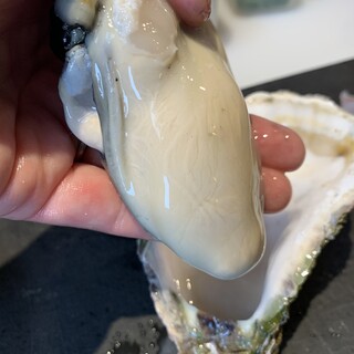 季節の厳選生牡蠣を食べ比べ！！