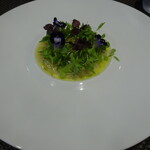 レストラン ラ・フロレゾン・ドゥ・タケウチ - ～LE TAIRAGAI～自家製こんぶ塩でマリネした師崎産平貝のカルパッチョ仕立て 新生姜とレモンのコディメント マイクロリーフを添えて