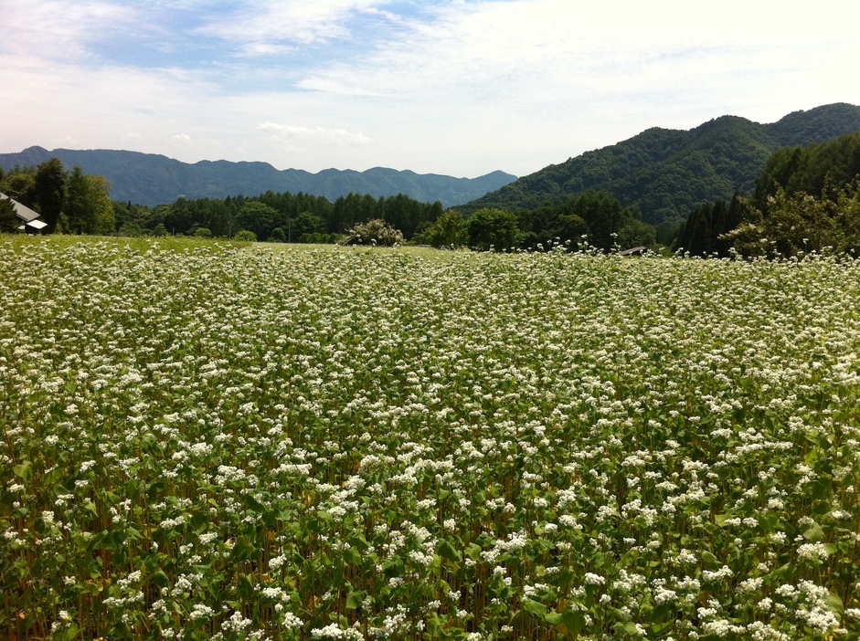 食事処そばの里 name=
