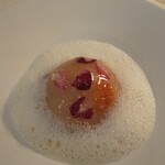 メゾン フジヤ ハコダテ - 