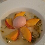 メゾン フジヤ ハコダテ - 