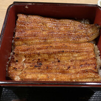 うなぎ 目白ぞろ芽 - 