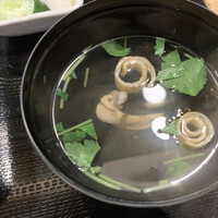 うなぎ 目白ぞろ芽 - 