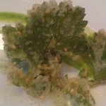 Restaurant LE MiDi - 飛騨の奥山で採れたヨモギ  胡麻が香ばしさを演出